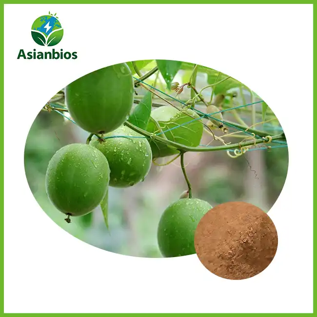 Monk Fruit Powder Bulk